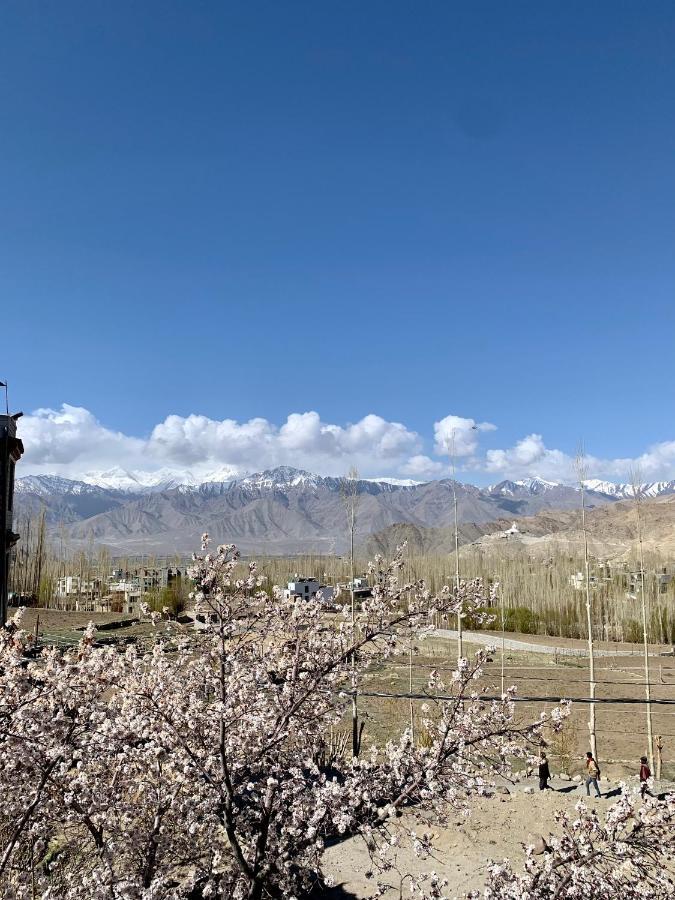 Gaywoo Guest House Leh Exterior foto
